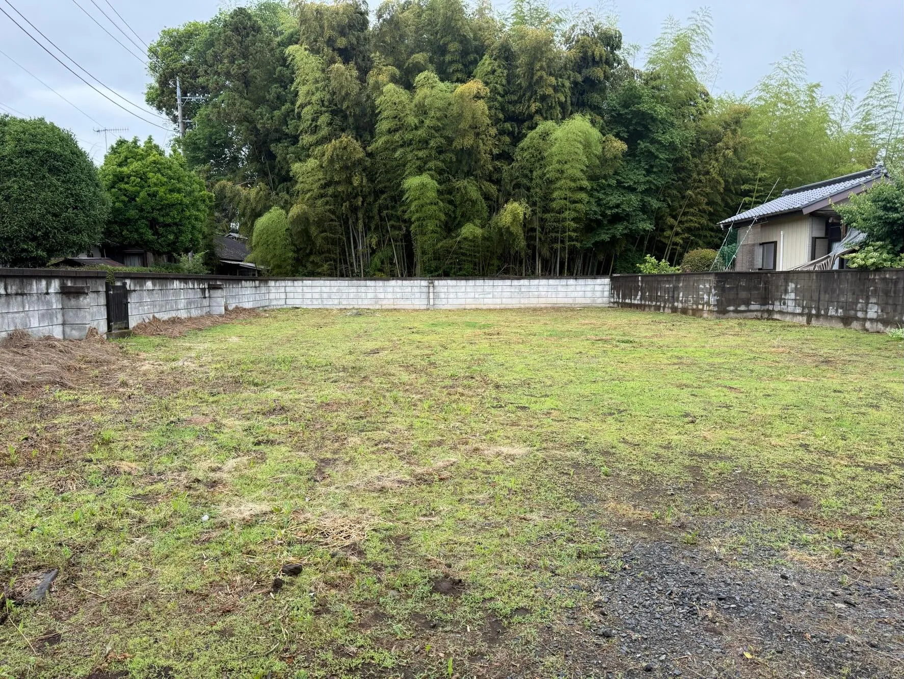 お庭の雑草にお困りですか?🌿